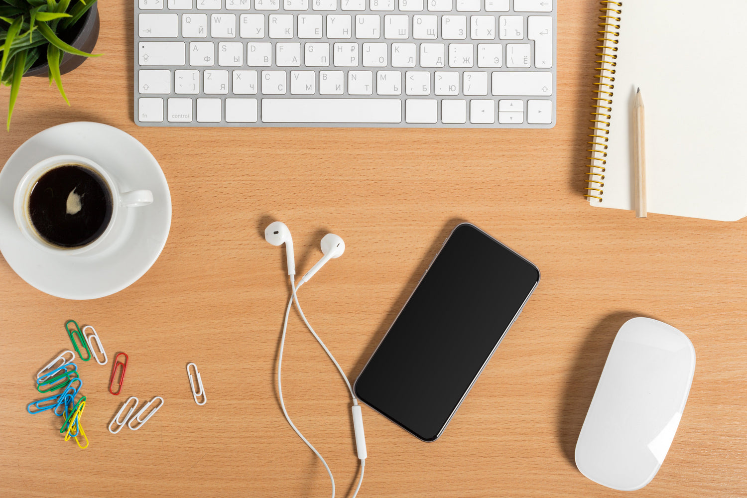 Mobile & Computer Accessories